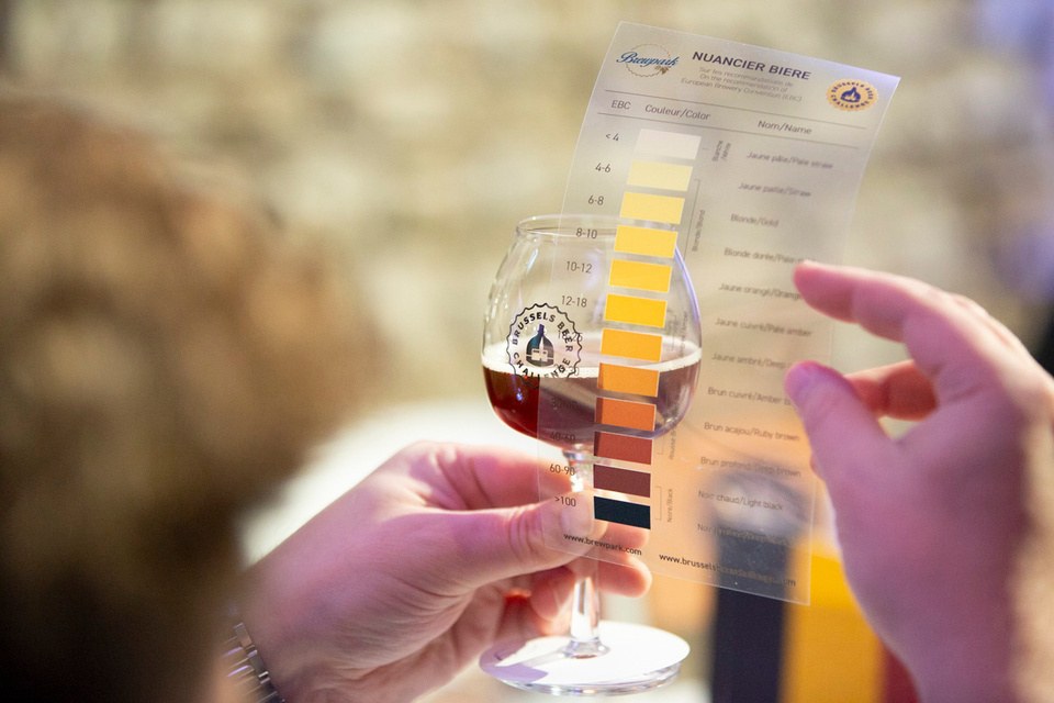 Jurado compara a cor de uma cerveja com uma carta de cor padrão
